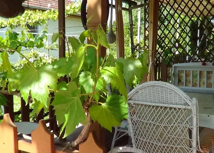 Gæstehus Agancs Vendeghaz 3*